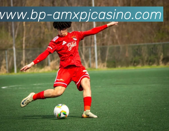 澳门新葡京娱乐APP 封面图